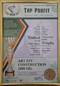 Diploma-art-est-construct-6